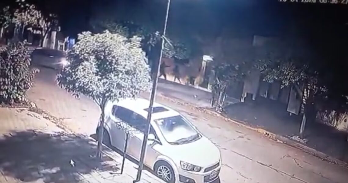 Violento intento de robo en La Plata: delincuentes atacaron a golpes a una mujer cuando guardaba el auto en su casa