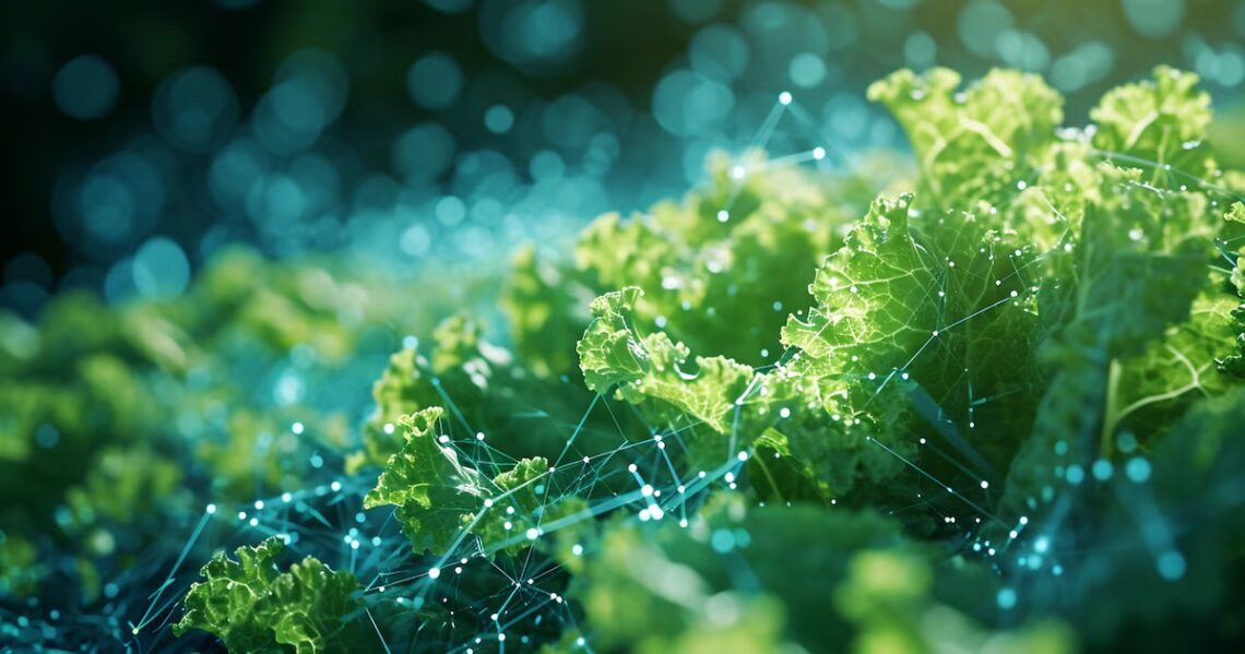 Cuando la lluvia se lleva hasta la ensalada: prevén escasez de frutas y verduras y precios más caros en el “Gran Santa Fe”