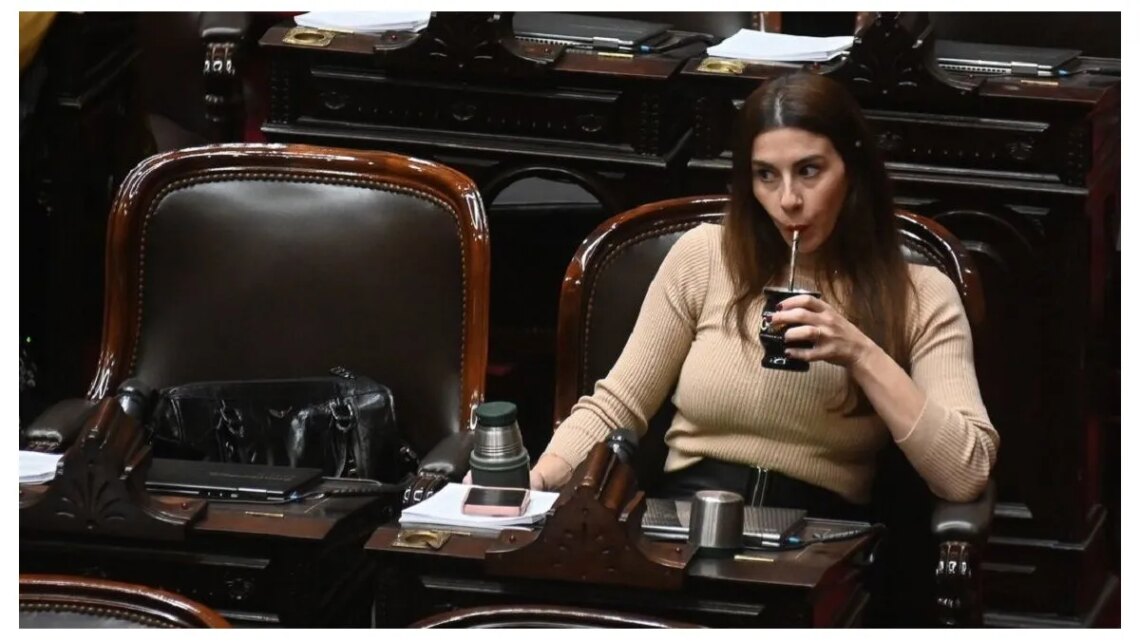 Diputados de La Libertad Avanza denuncian penalmente a Marcela Pagano por enriquecimiento ilícito