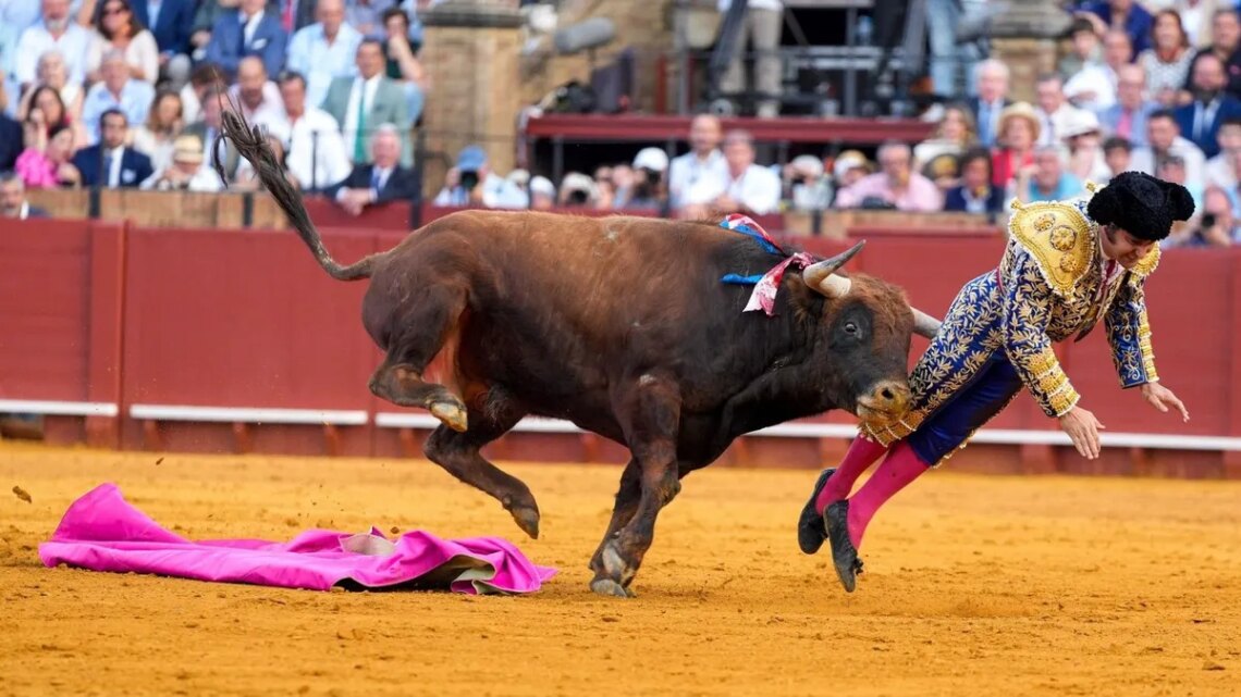 Cómo sigue Morante de la Puebla, el torero que fue corneado en el recto