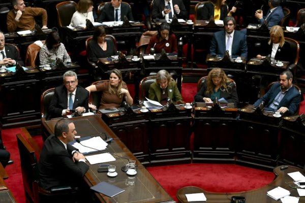 Adorni en Diputados: chicanas y victimización