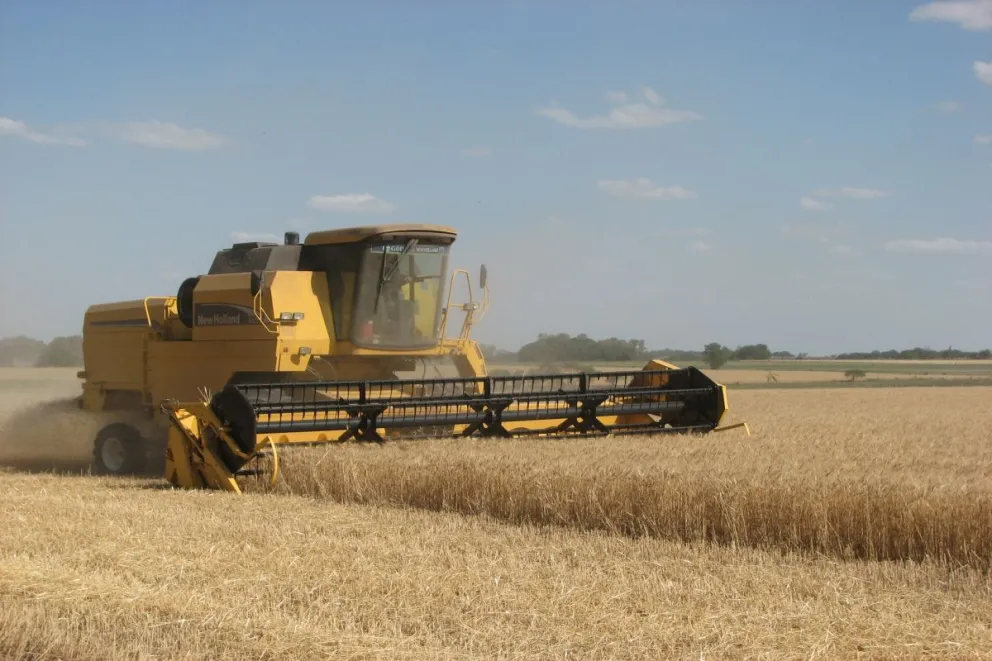 La Bolsa de Cereales señaló que los elevados costos para la producción de trigo generan un mayor interés por el lino