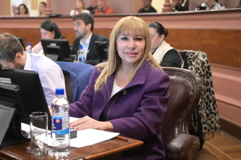 “La educación pública necesita compromiso, no relatos políticos”