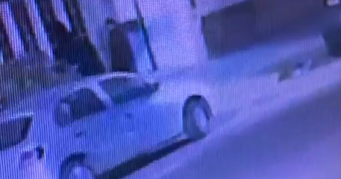 El video que muestra el momento en que Agostina Vega entró a la casa del detenidoLas imágenes muestran cuando la menor ingresa a la vivienda junto a Claudio Barrelier, en la calle Campillo al 878