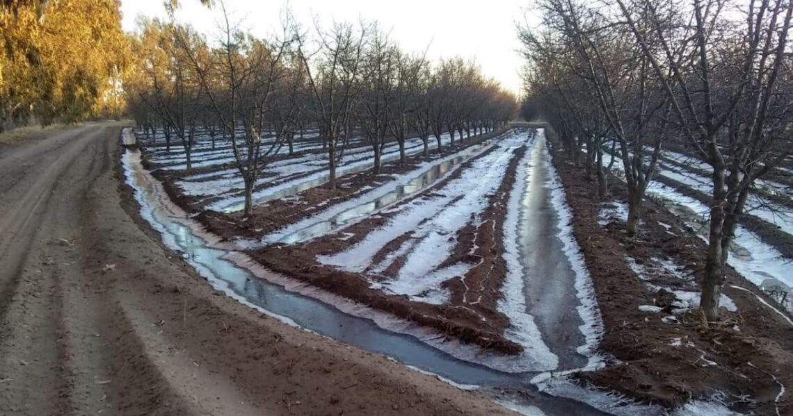El Gobierno declaró la emergencia agropecuaria en Chubut, Santa Cruz y varios departamentos de Mendoza Los productores que resultaron afectados por las sequías, heladas y/o granizos deberán presentar un certificado para poder acceder a la ayuda estatal