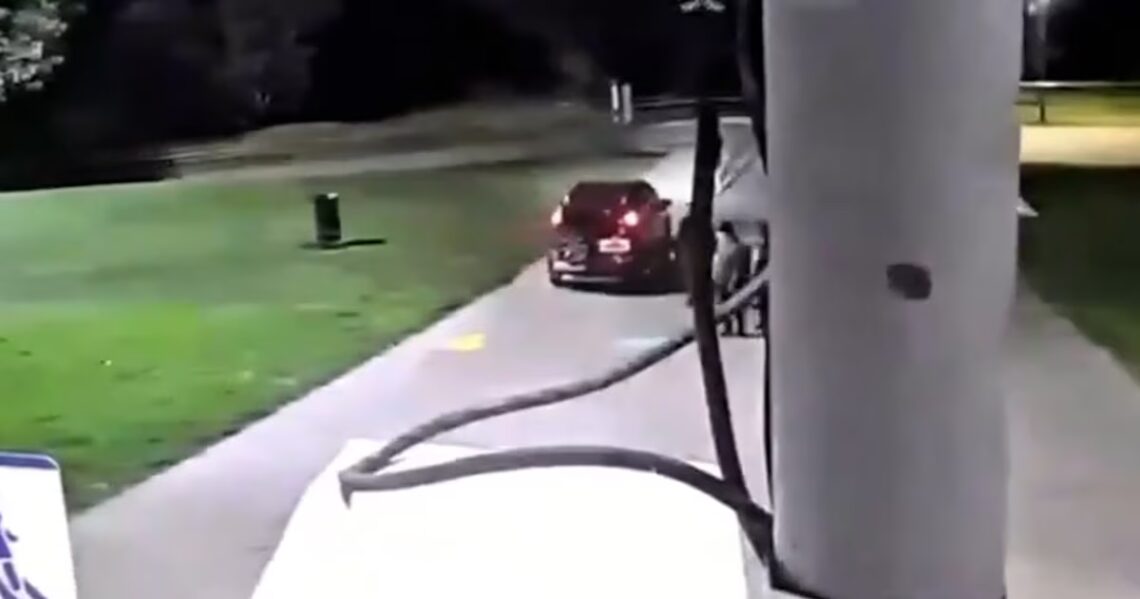 Rosario: una mujer pasó con el auto por un paseo peatonal, fue grabada por las cámaras y recibió una multa millonariaAdemás, la Municipalidad decidió inhabilitarle la licencia de conducir por 6 meses y la obligó a participar en talleres de concientización