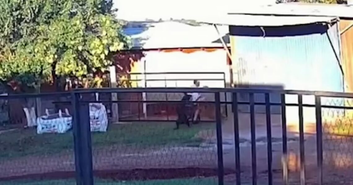 “Había sangre por todos lados”: un perro atacó brutalmente a un niño de 11 años en MisionesMónica, mamá de la víctima, habló con Infobae en Vivo y relató el dramático episodio. Dijo que ya realizó la denuncia y pidió a la Policía que actúen para que “no termine en Justicia por mano propia”. El menor está fuera de peligro