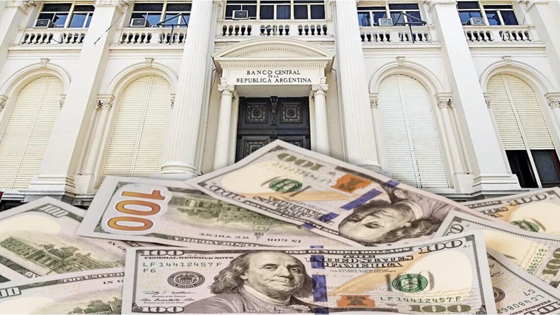 Compras del BCRA marcaron el segundo mejor inicio de año en más de 2 décadas: qué implica para el dólar, reservas y riesgo país
