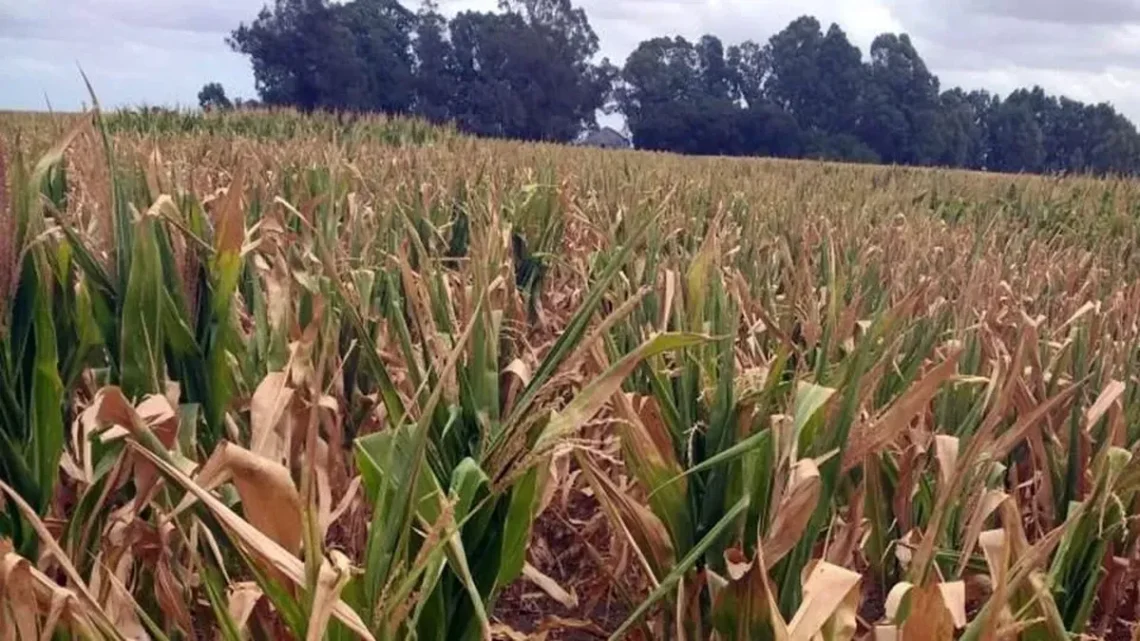 El Gobierno declaró la emergencia agropecuaria en Chubut, Santa Cruz y zonas de Mendoza