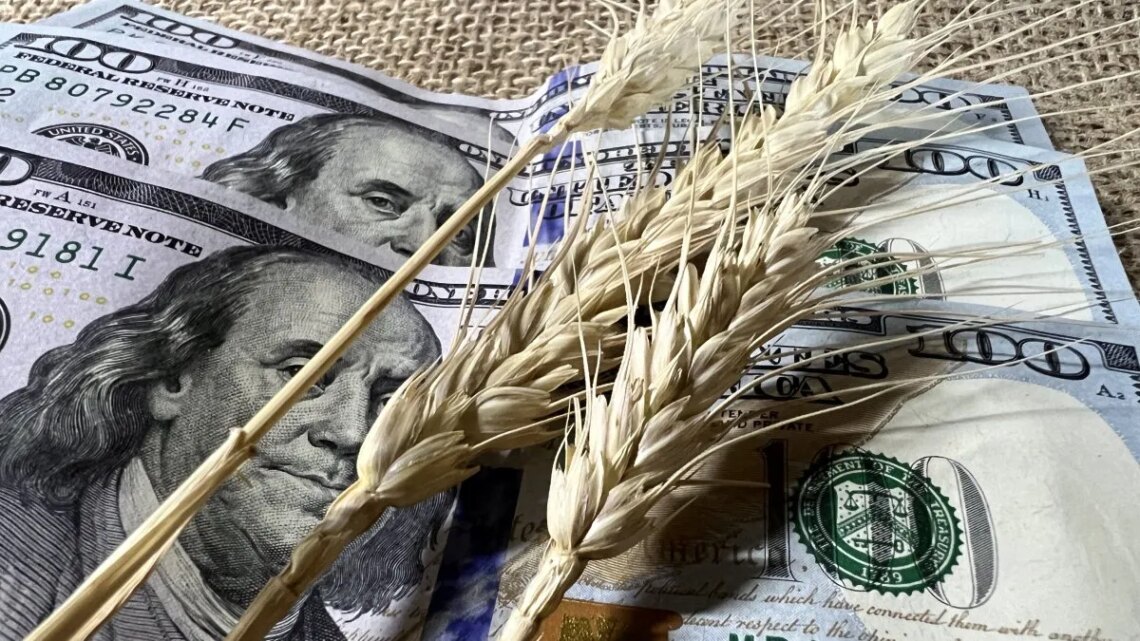 Baja de retenciones: estiman que mejorará la rentabilidad agrícola y ayudará a sostener exportaciones