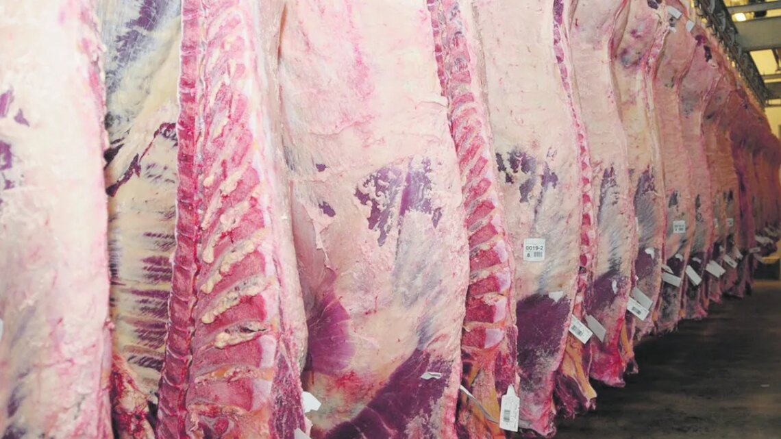Para un frigorífico tradicional “el precio de la carne llegó a un techo”
