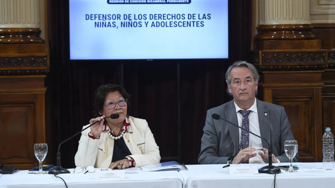 La Libertad Avanza bajó a la candidata para la Defensoría de la Niñez: denuncian una maniobra para garantizar la acefalía