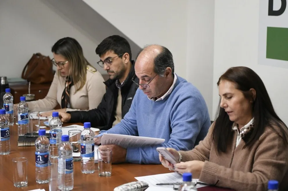 Juicio Político y desarrollo territorial, ejes del trabajo de comisiones de Diputados