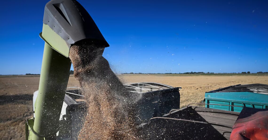 El Gobierno oficializó una reducción en las retenciones para el agro y los biocombustibles Por medio de la baja de retenciones vigentes, las autoridades remarcaron que la medida buscará impulsar las exportaciones y consolidar la inserción internacional de la Argentina