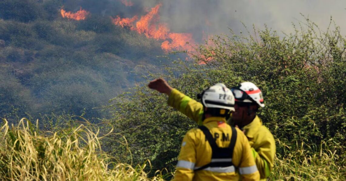 Córdoba declaró estado de alerta por el riesgo de incendios: cuáles son las actividades prohibidasLa medida tiene vigencia hasta fin de año y está fundamentada en las condiciones de sequía que se agravaron en los últimos meses. Advierten que se acumuló material combustible en zonas serranas y agroganaderas