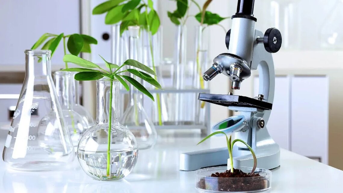 El Gobierno eliminó restricciones para el patentamiento de desarrollos biotecnológicos