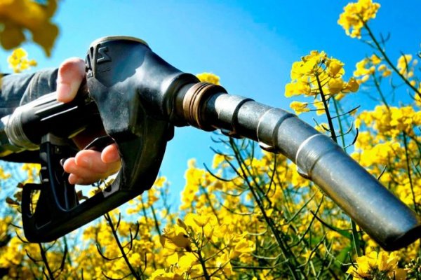 Biocombustibles: el Senado retoma una discusión estratégica para las economías regionales