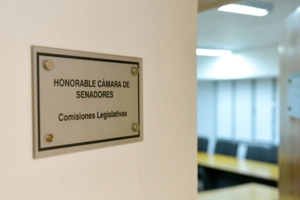 La semana que viene continuarán las reuniones de comisión por la reforma previsional