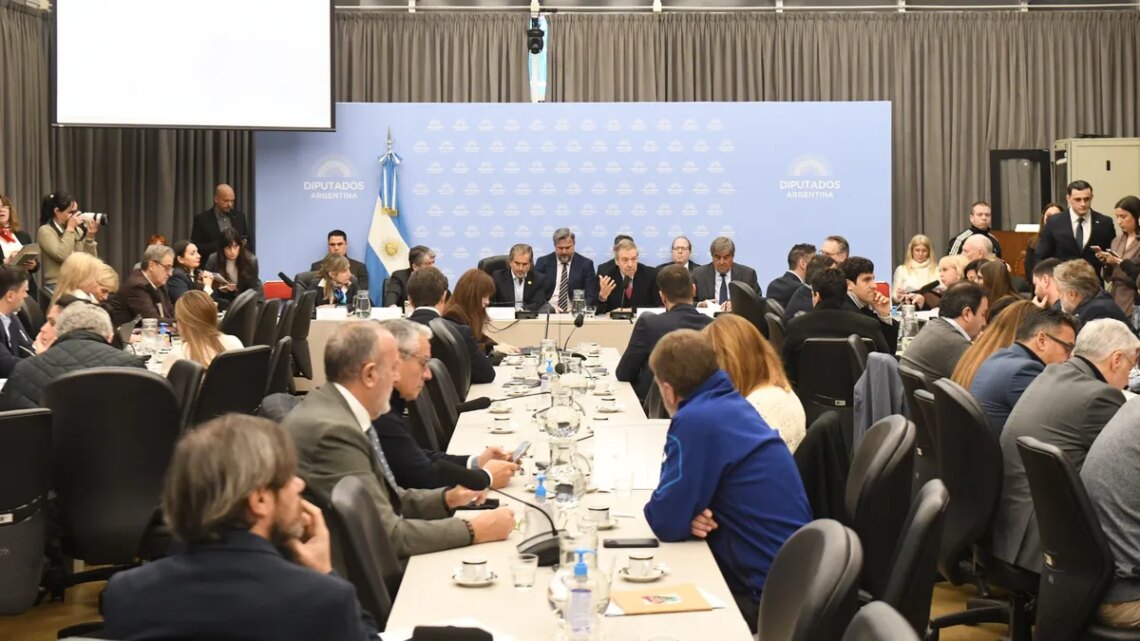 Para defender el Súper RIGI en Diputados, el Gobierno citó energéticas y mineras que no pueden aplicar al régimen